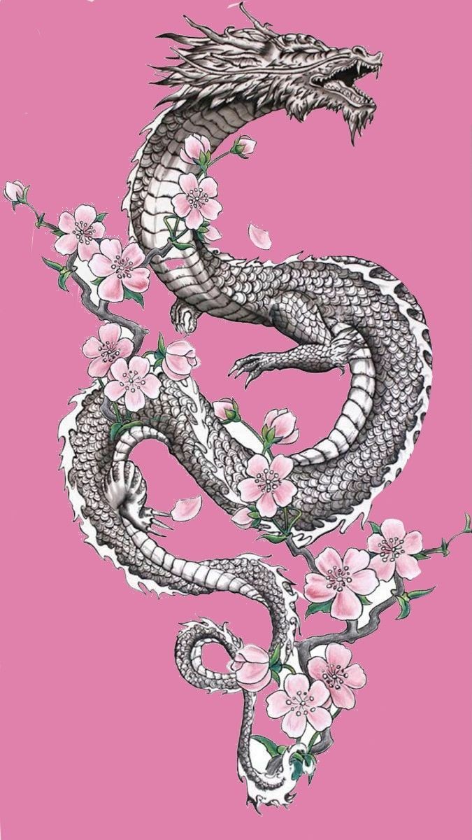 a drawing of a dragon on a pink background