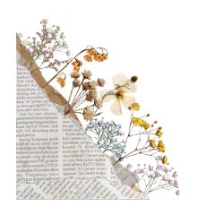 an image of some flowers on top of a book page with words in the background