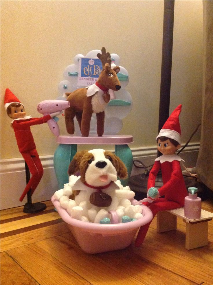 two elfs and a dog in a bathtub with toys on the floor next to them