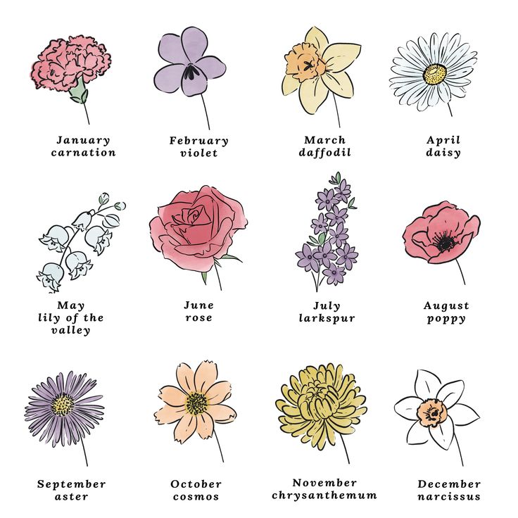 an image of flowers that are in different colors and sizes with the names of them