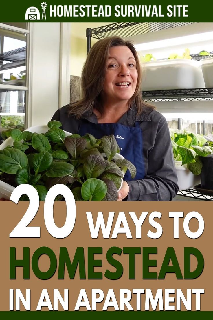 a woman holding a potted plant with the words, 20 ways to homestead in an apartment