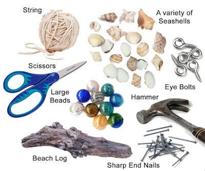 there are many different types of sea shells