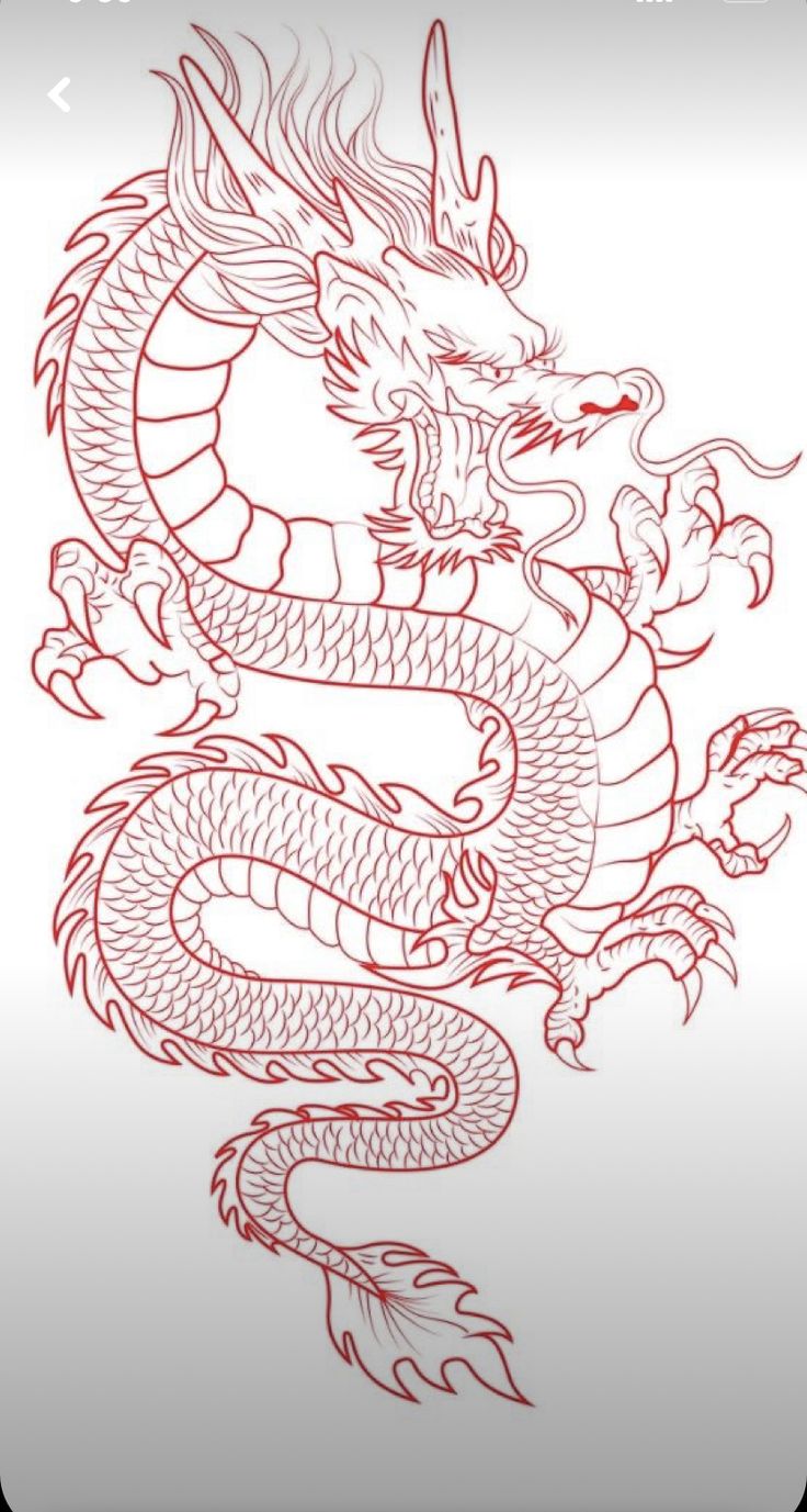 a drawing of a dragon on a white background