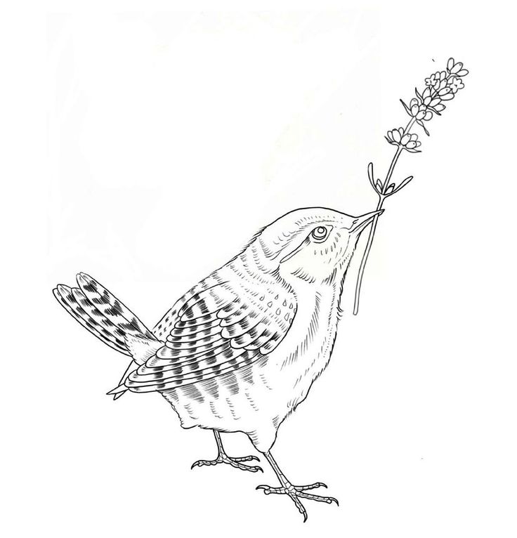 a black and white drawing of a bird holding a flower in it's beak