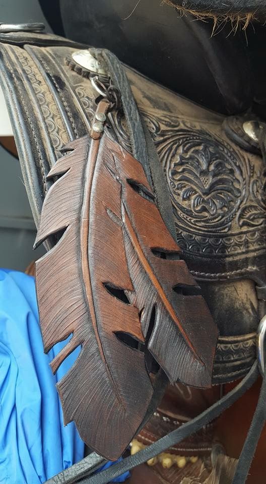 a close up of a horse's bridle with feathers on it