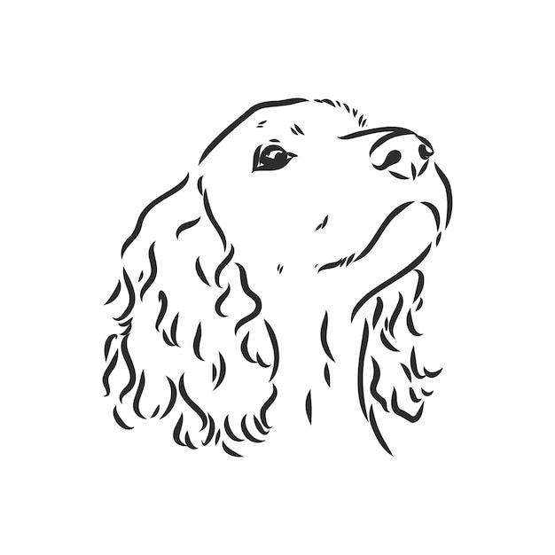 a black and white drawing of a dog's head with curly hair on it