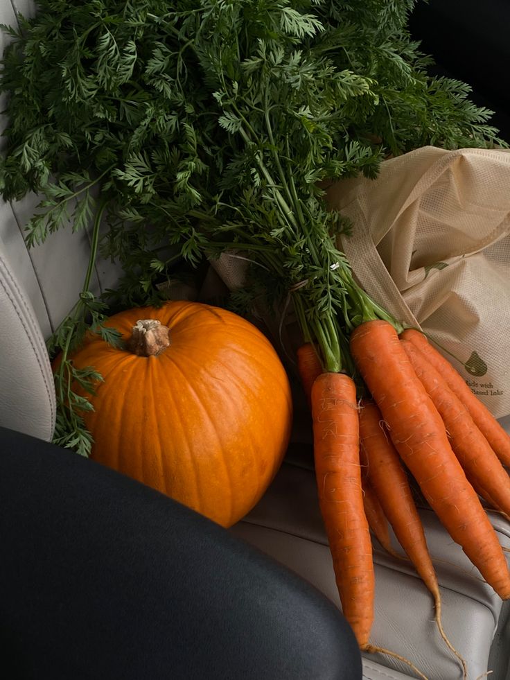 carrots, parsley and an orange sitting on the seat