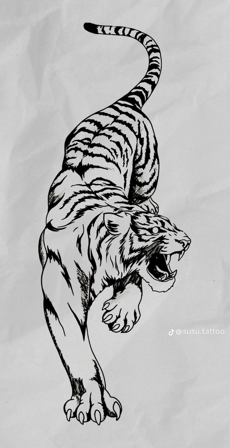 a black and white drawing of a tiger