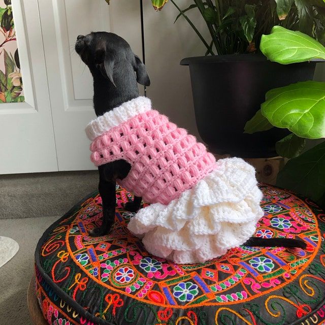 a black dog wearing a pink and white sweater on top of a round ottoman next to a potted plant