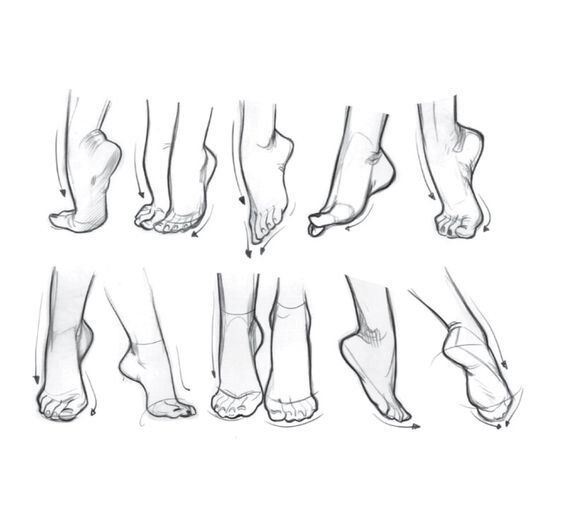 various stages of the foot and ankles