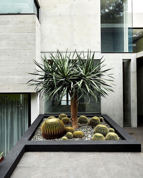 a large potted plant sitting on top of a cement floor next to a building