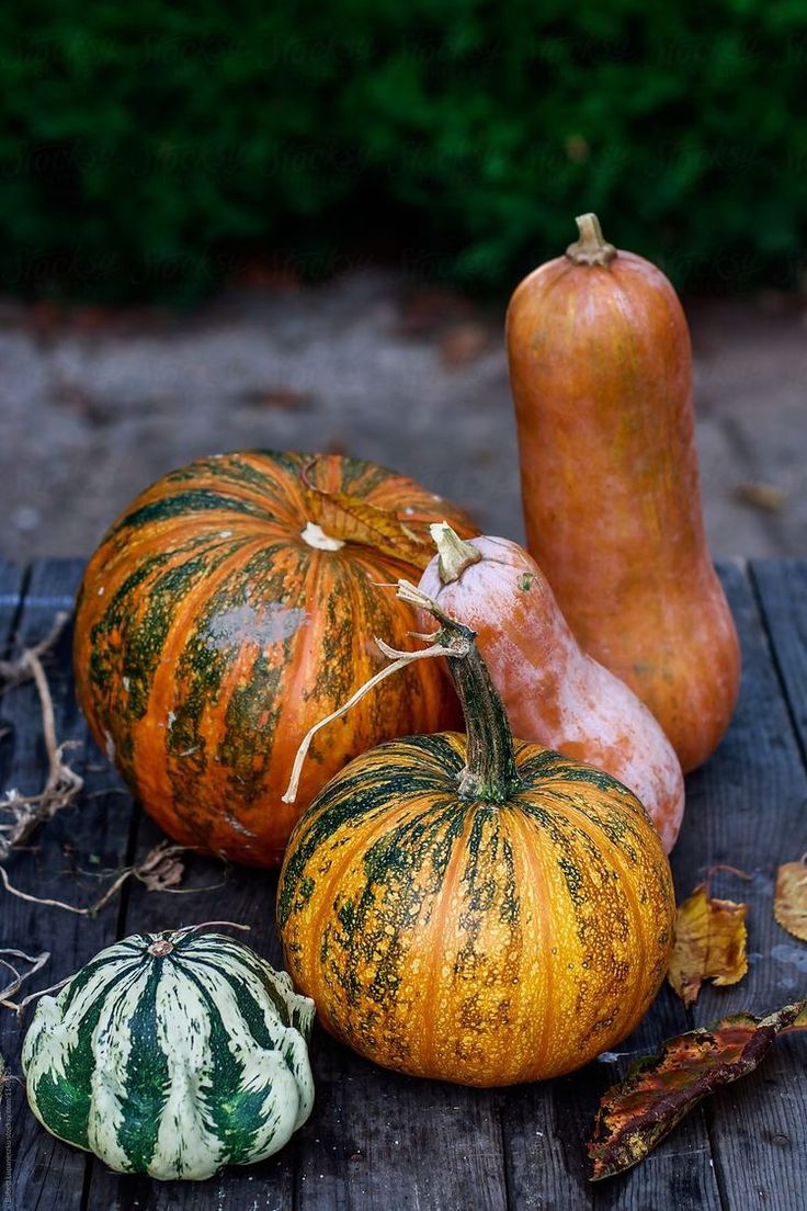 pumpkins and gourds sitting on a wooden table