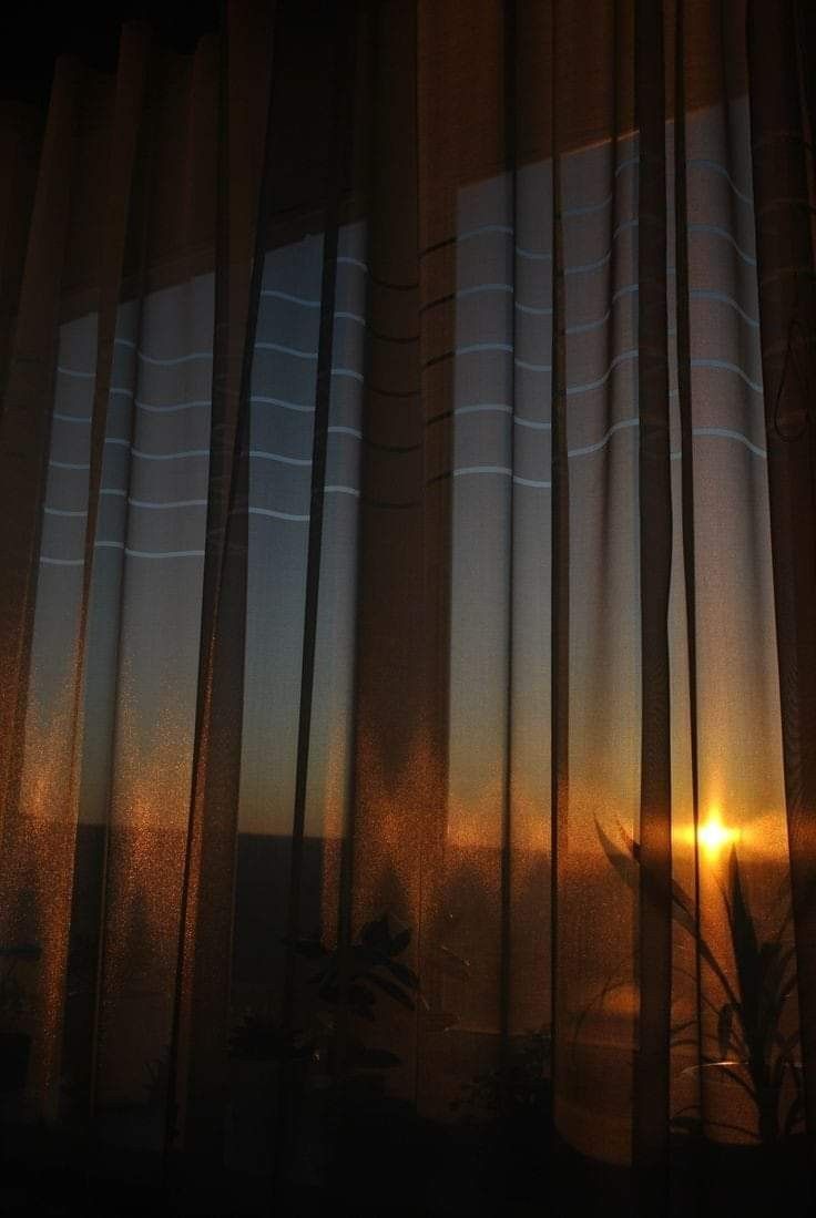 the sun is setting through the sheer curtains