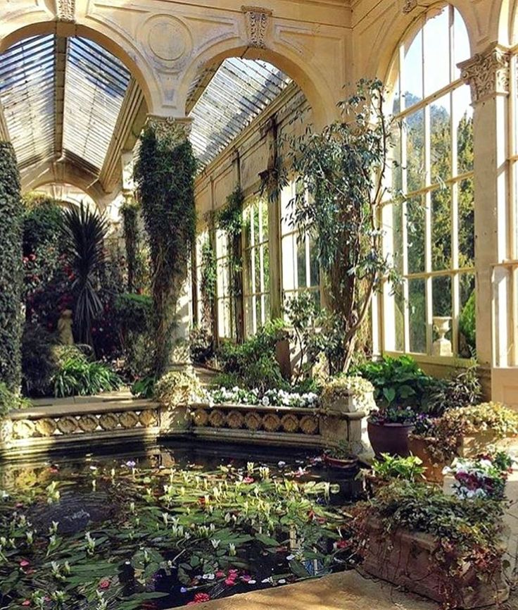 the inside of a building with many windows and plants