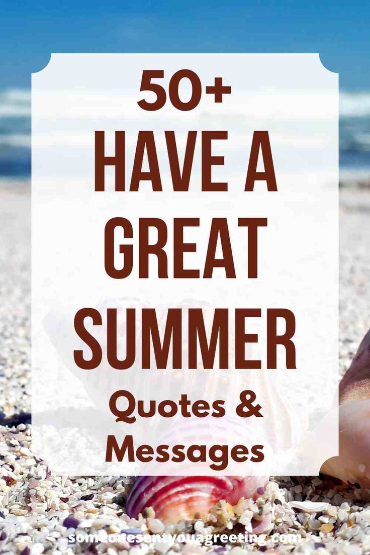 shells and seashells on the beach with text overlay reading 50 + have a great summer quotes & messages