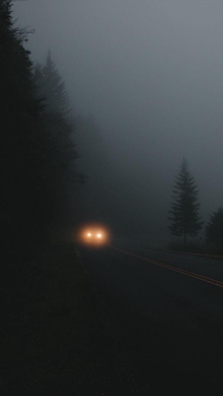 a car driving on a foggy road with trees in the background at night time