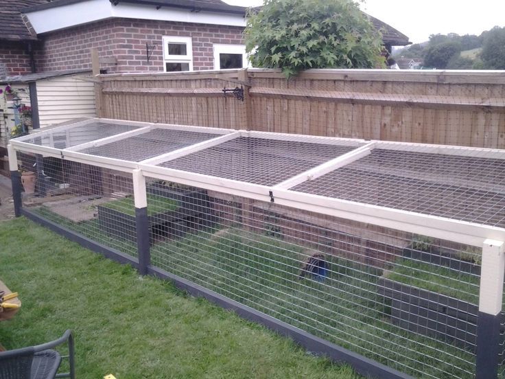 a fenced in area with chickens inside of it and on top of the grass