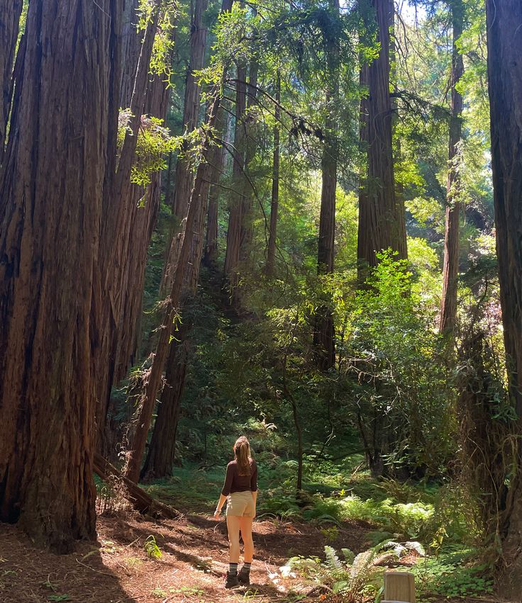 a woman is walking through the woods on a trail with lots of trees around her