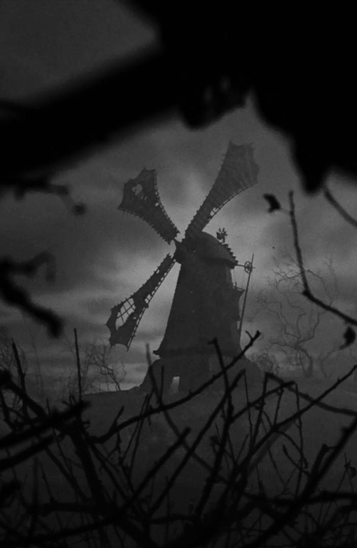 the silhouette of a windmill is seen through branches