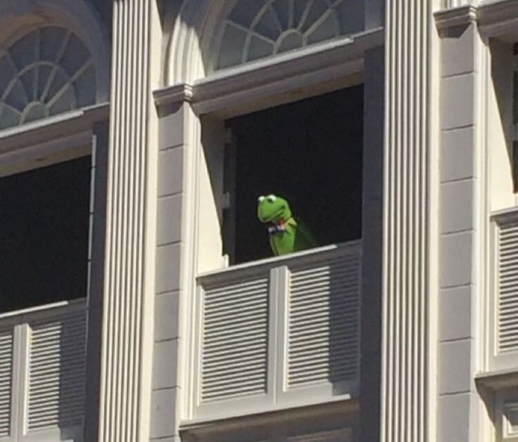 the kermie frog is looking out of an apartment building's balcony window