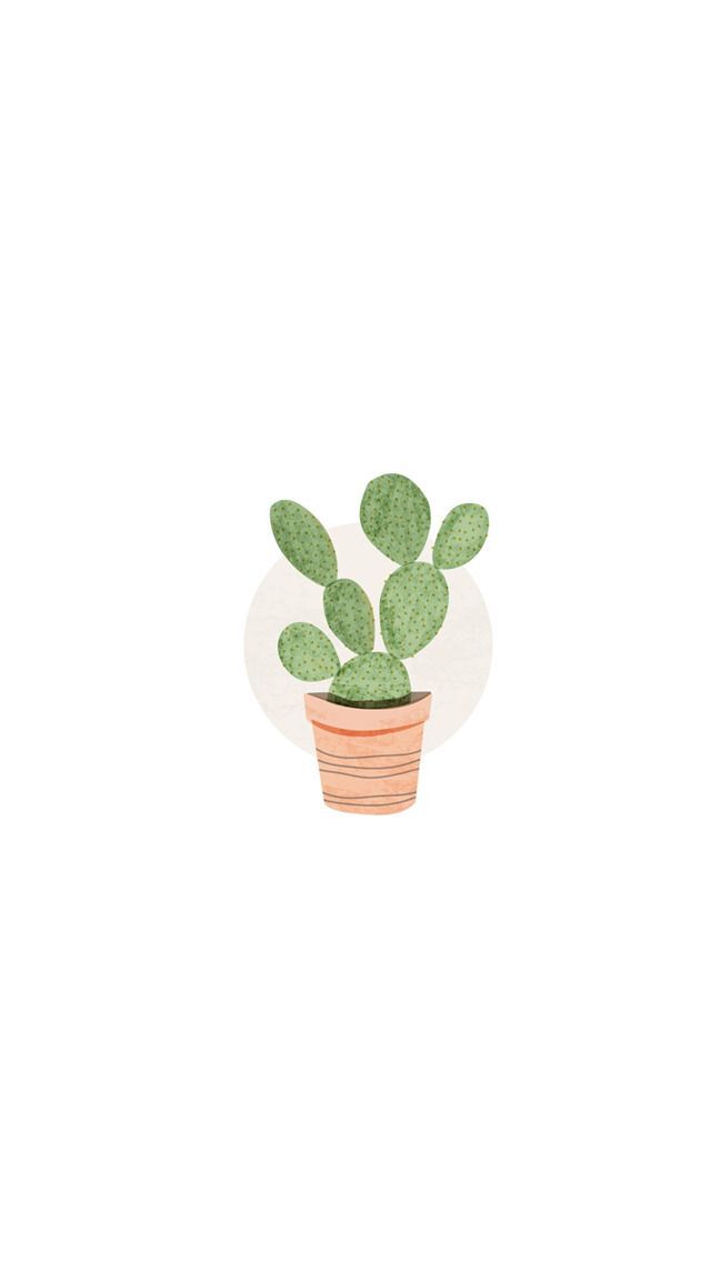 a small potted plant sitting on top of a white plate