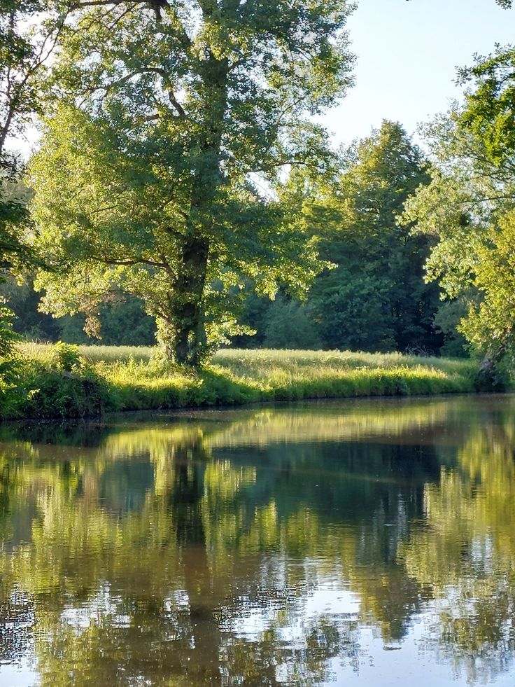 the trees are reflected in the water near the grass and trees on the other side