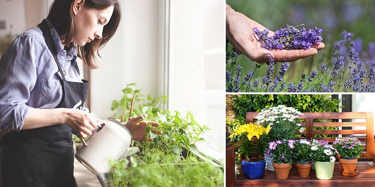 a woman watering flowers in her garden and potting them on the porch with other plants