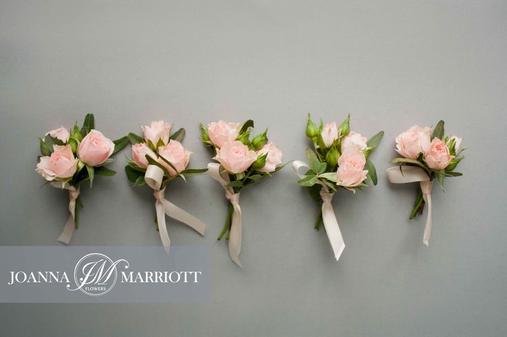 five pink flowers are arranged in a row