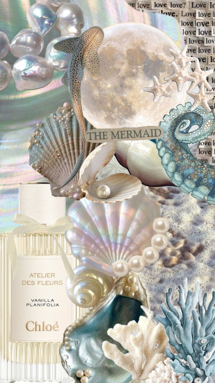 a collage of seashells, pearls, and other things in the ocean