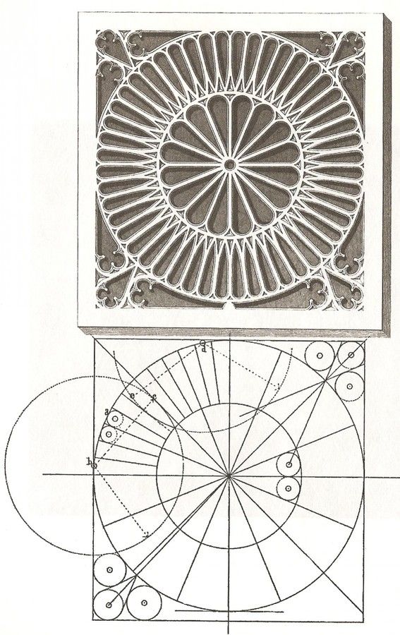 the diagram shows how to make a paper doily with circles and lines on it