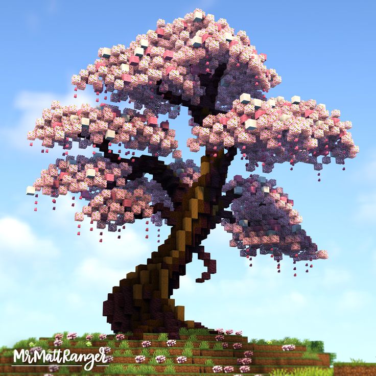 a tree with lots of pink flowers on it