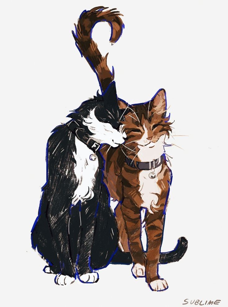 two cats standing next to each other on a white background, one is black and the other is brown