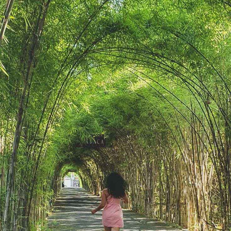 a woman walking down a road lined with green trees and bamboos on both sides