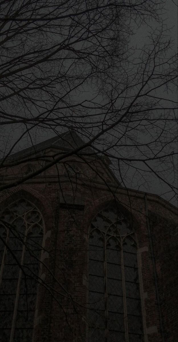 tree branches against an old brick building with gothic windows and dark sky in the background