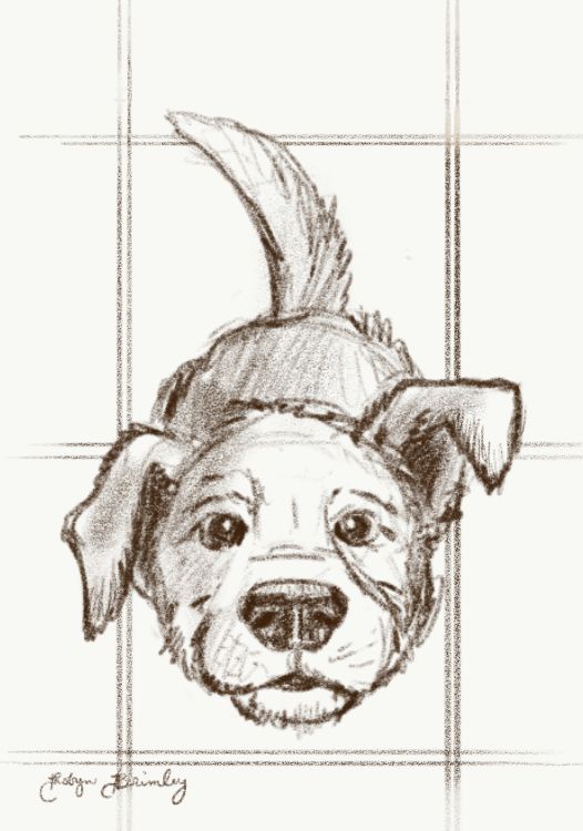 a drawing of a dog wearing a hat