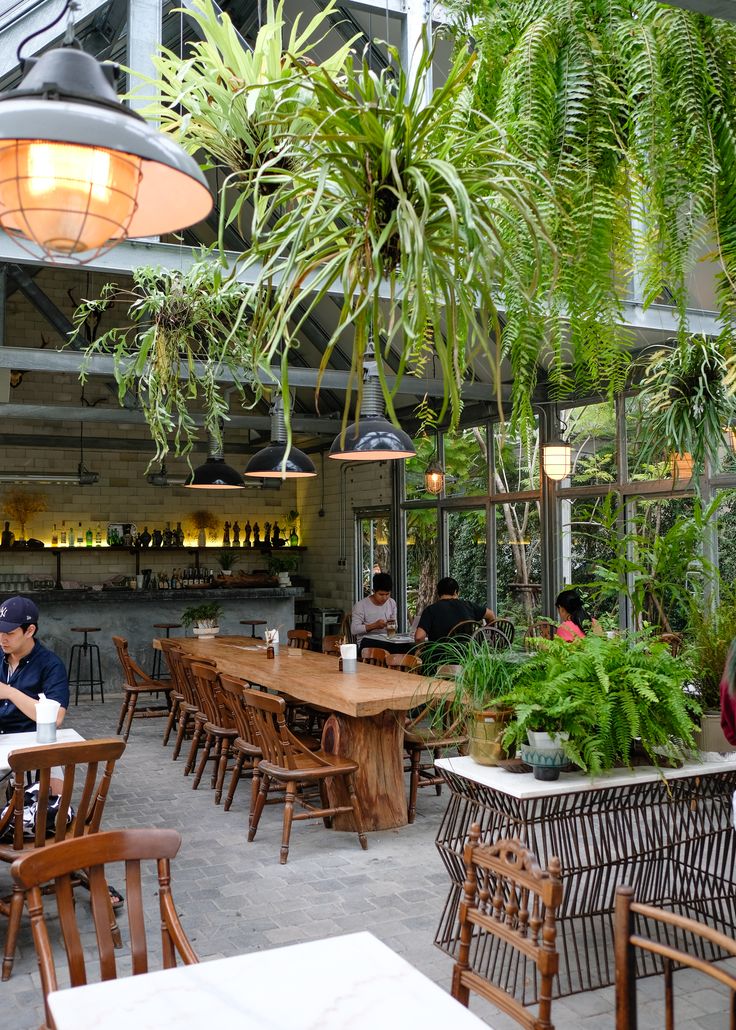 people are sitting at tables in an outdoor restaurant with plants hanging from the ceiling and potted palm trees