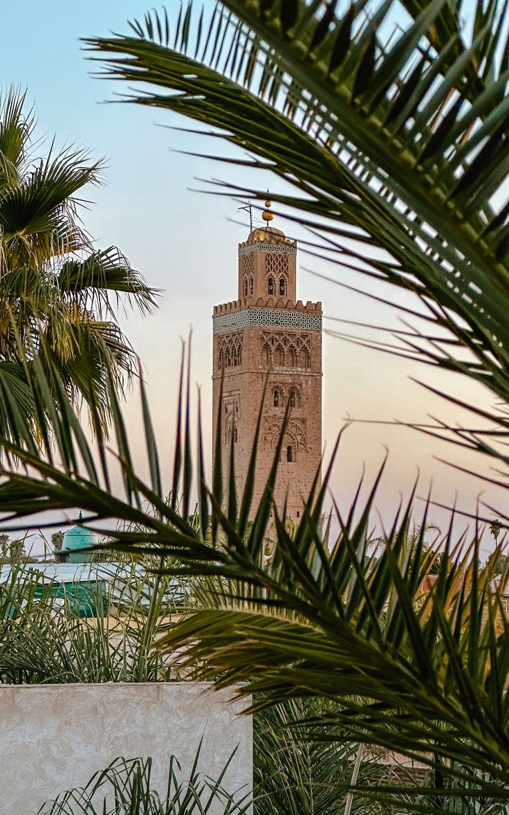 a tall tower with a clock on it's side surrounded by palm trees and buildings