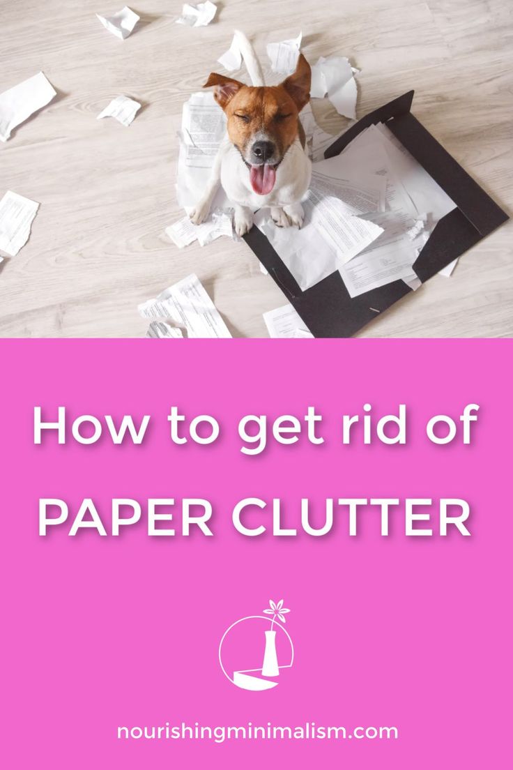 a dog is sitting on the floor with paper in front of it and text overlay that reads how to get rid of paper clutter