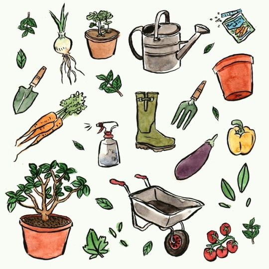 an image of garden items drawn in watercolor and ink