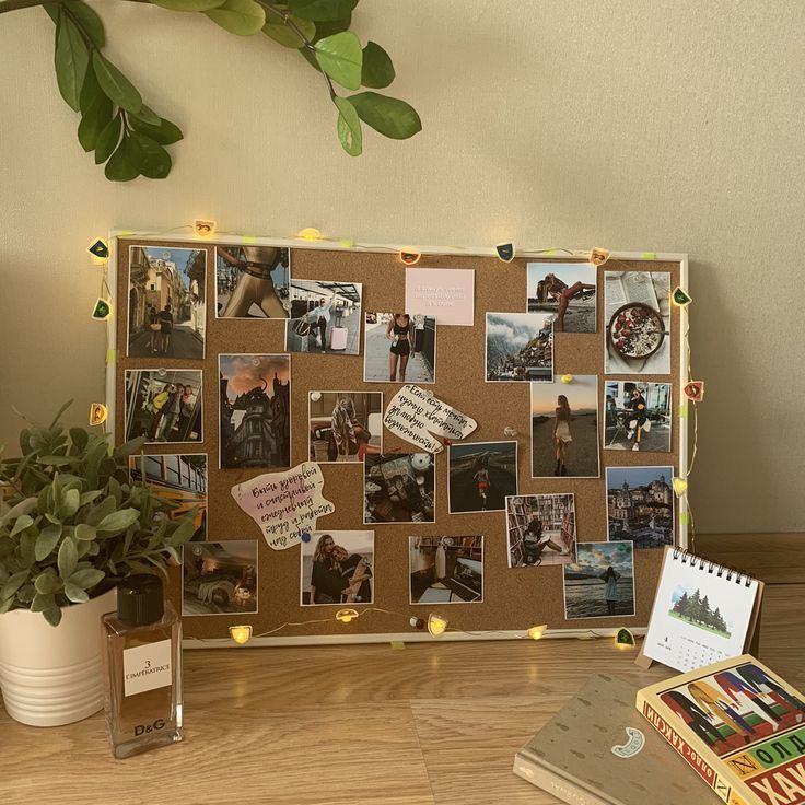 a cork board with pictures and magnets on it next to a potted plant