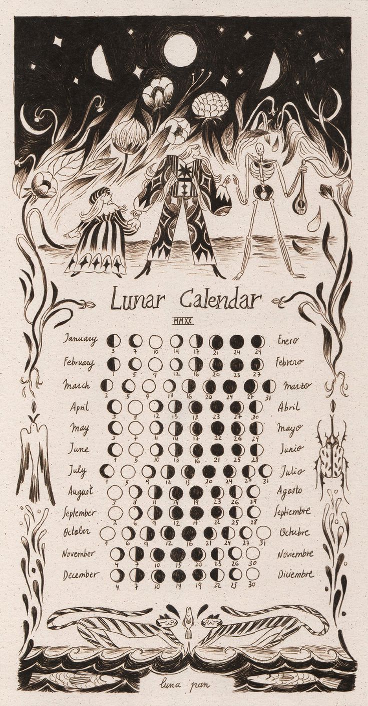 a drawing of the calendar for lunar