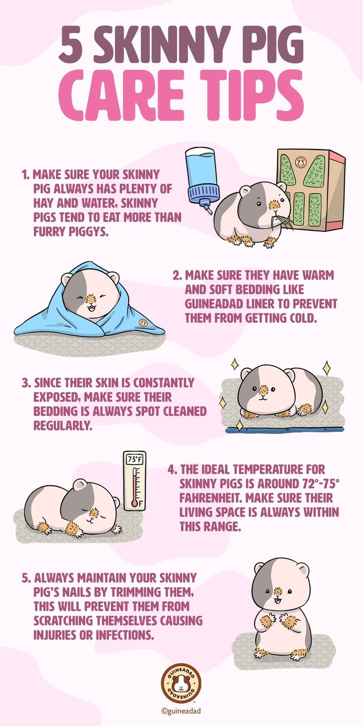 a poster with instructions on how to care for an animal's skin and body