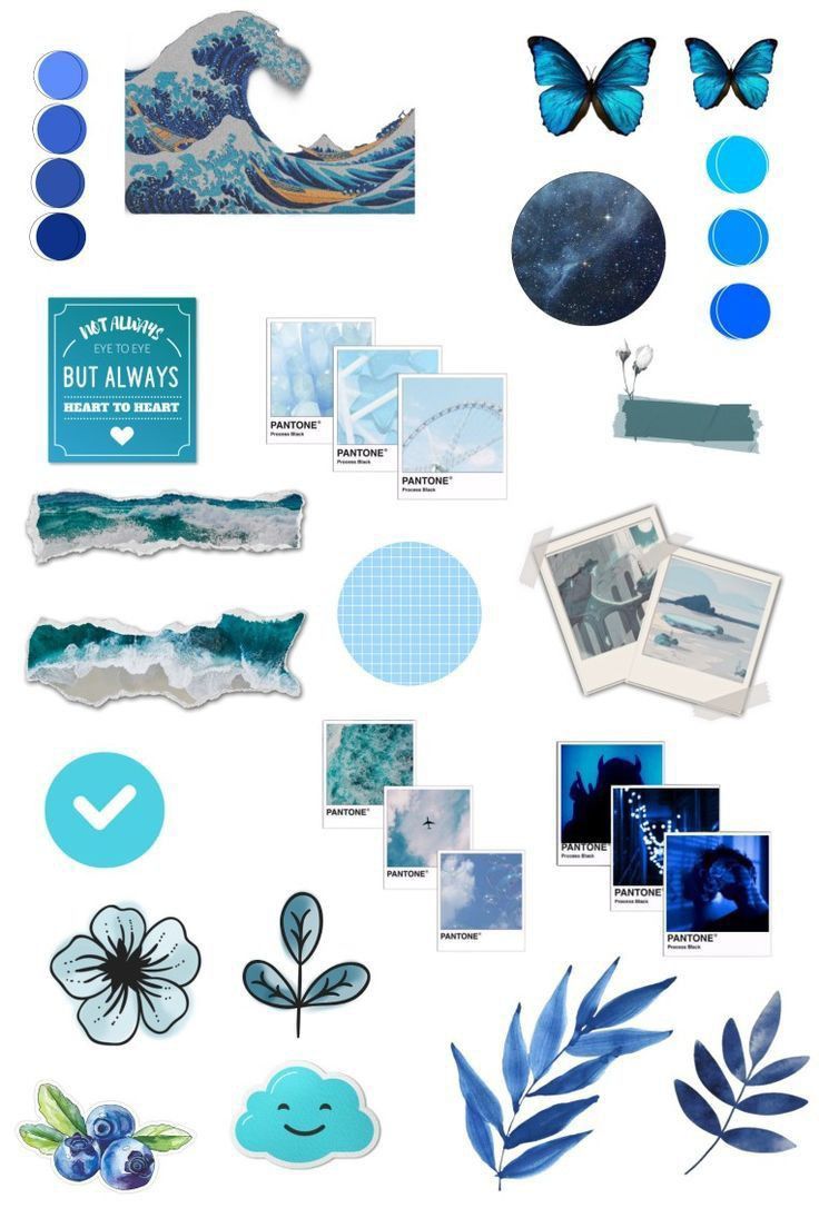 a collage of blue and white items including pictures, photos, and leaves on a white background