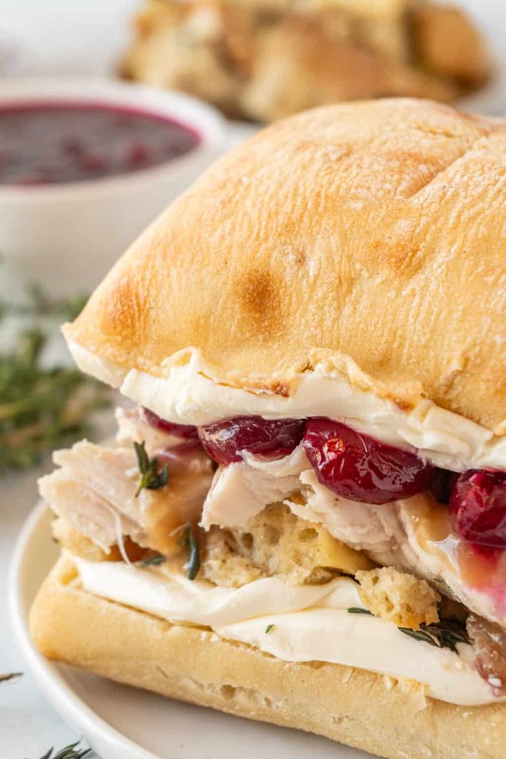 a turkey and cranberry sandwich on a plate