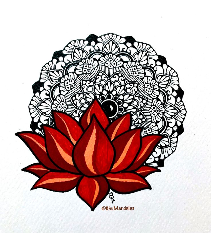 a drawing of a red flower on white paper