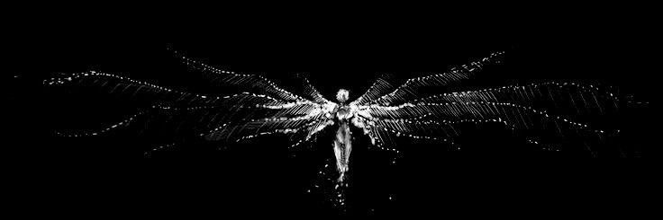 a black and white photo of a butterfly in the dark