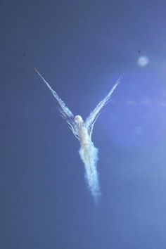 a bird flying through the air with its wings spread