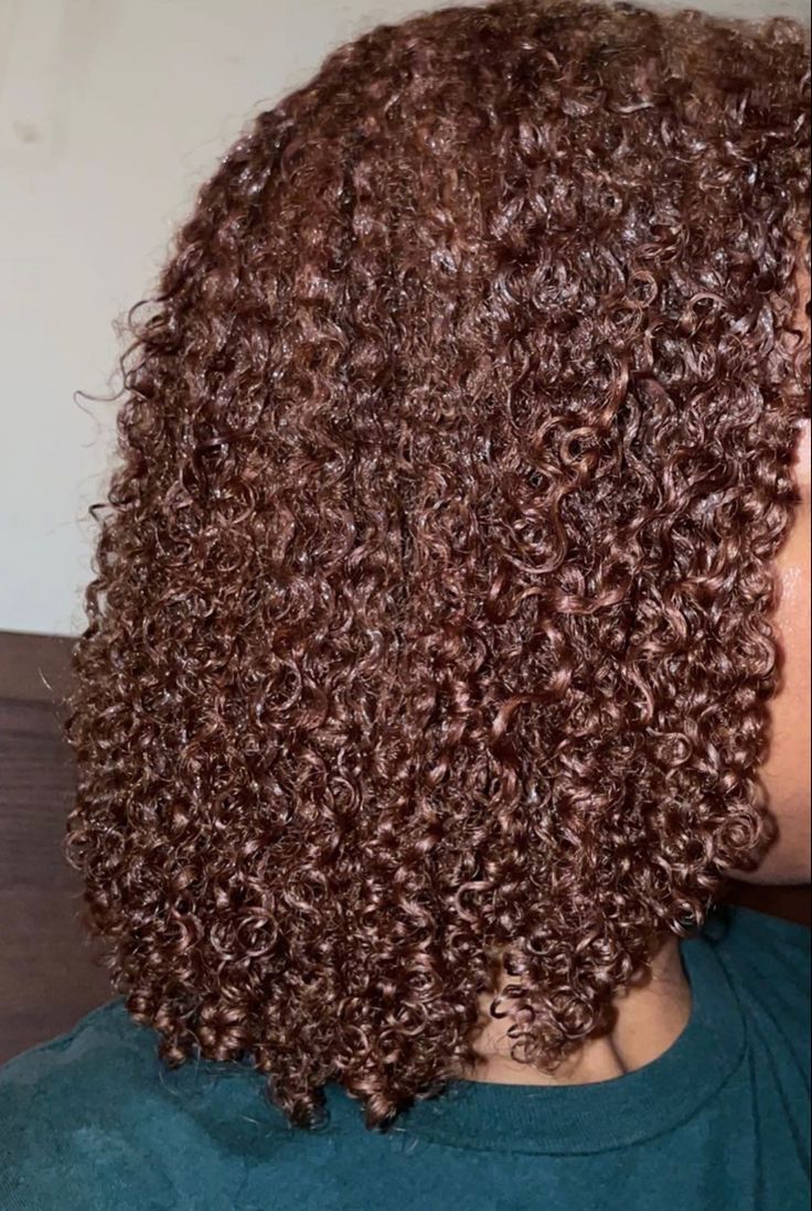 Honey Brown Dyed Hair, Chocolate Natural Hair, Hair Color Ideas On Black Women, Brown Afro Hair Color 4c, Chocolate Brown Hair Curly, Dark Brown Hair Black Women, Honey Brown 4c Hair, Chocolate Brown Natural Hair, Honey Brown Hair Curly