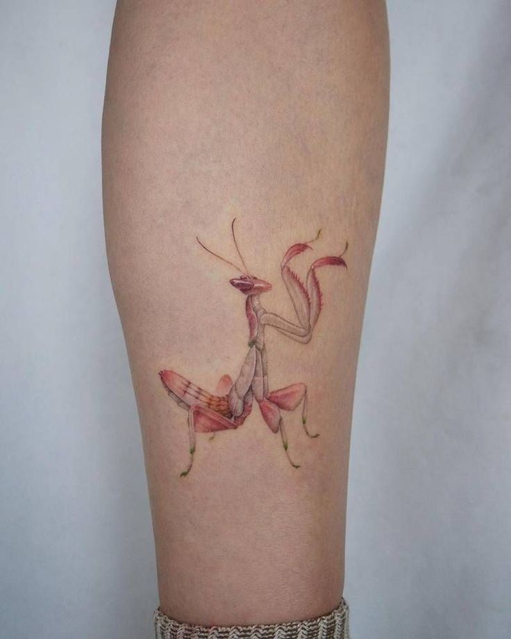 Micro-realistic praying mantis tattoo Praying Mantis Tattoo, Mantis Tattoo, Symmetrical Tattoo, Orchid Tattoo, Bug Tattoo, Insect Tattoo, Sick Tattoo, Sweet Tattoos, Modern Tattoos