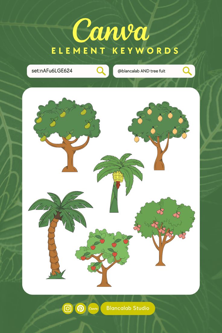 Find more element/illustration keywords to make it easier for you to design Canva and great results. Follow my link to find out more! Canva Keyword: set:nAFu6LGE624 Brand Keyword: @blancalab